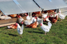 现代化规；；；；；臣巴涝准庸は钅靠尚行匝芯勘ǜ