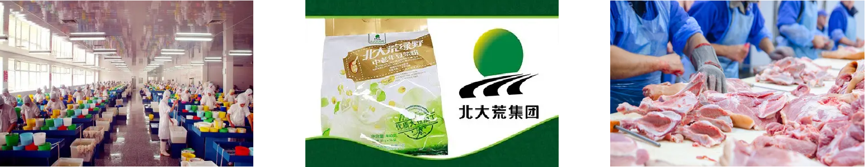 pg电子游戏试玩(模拟器)官方网站 -手机版app下载