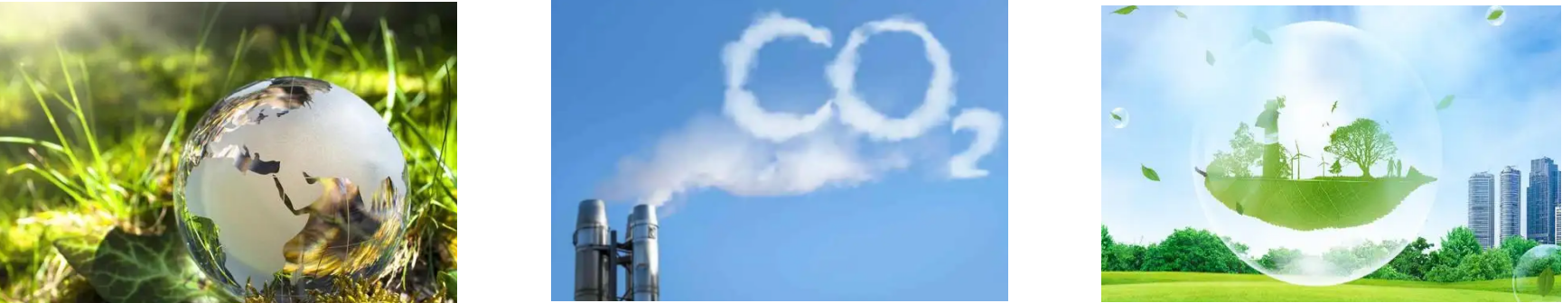 pg电子游戏试玩(模拟器)官方网站 -手机版app下载