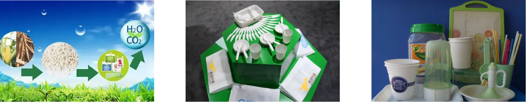 pg电子游戏试玩(模拟器)官方网站 -手机版app下载