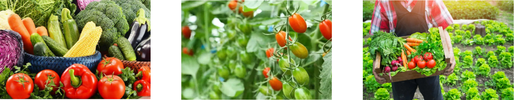 pg电子游戏试玩(模拟器)官方网站 -手机版app下载