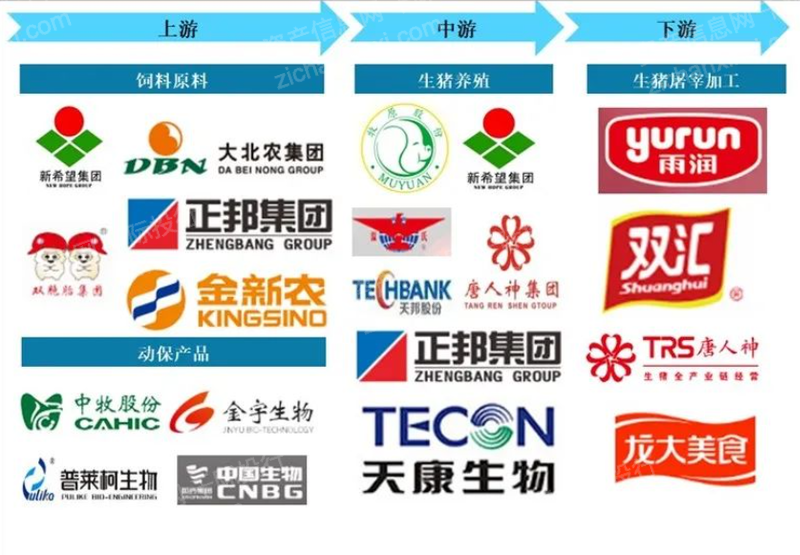 pg电子游戏试玩(模拟器)官方网站 -手机版app下载