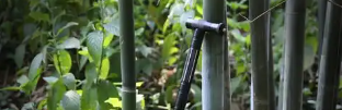 pg电子游戏试玩(模拟器)官方网站 -手机版app下载