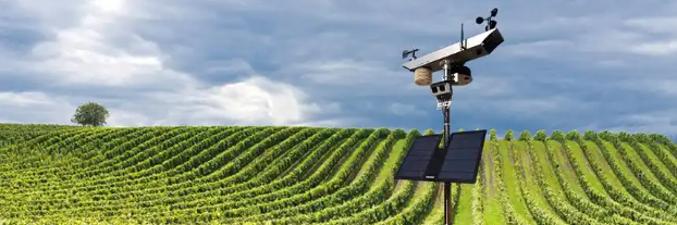 pg电子游戏试玩(模拟器)官方网站 -手机版app下载