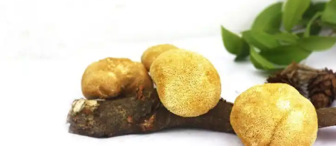 pg电子游戏试玩(模拟器)官方网站 -手机版app下载