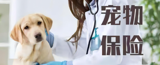 pg电子游戏试玩(模拟器)官方网站 -手机版app下载
