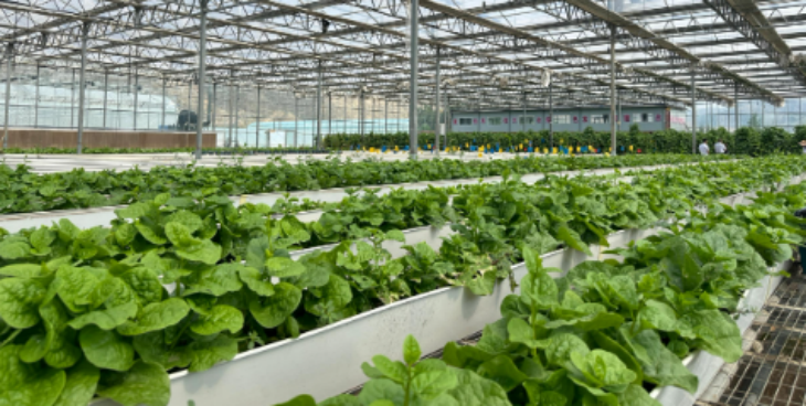 pg电子游戏试玩(模拟器)官方网站 -手机版app下载