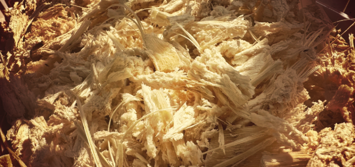 pg电子游戏试玩(模拟器)官方网站 -手机版app下载