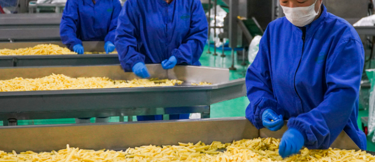 pg电子游戏试玩(模拟器)官方网站 -手机版app下载