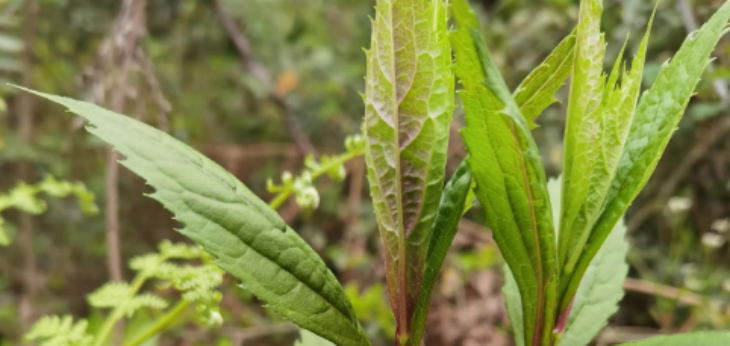 pg电子游戏试玩(模拟器)官方网站 -手机版app下载