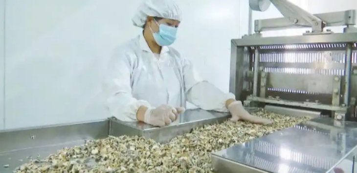 pg电子游戏试玩(模拟器)官方网站 -手机版app下载