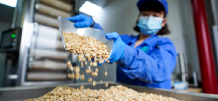 pg电子游戏试玩(模拟器)官方网站 -手机版app下载