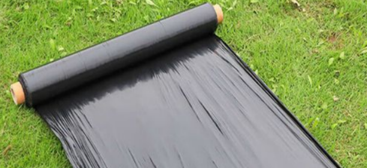 pg电子游戏试玩(模拟器)官方网站 -手机版app下载