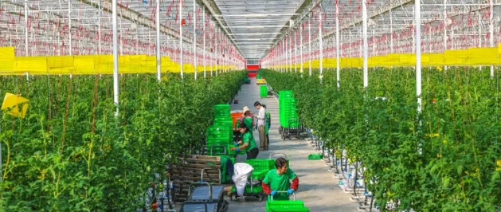 pg电子游戏试玩(模拟器)官方网站 -手机版app下载