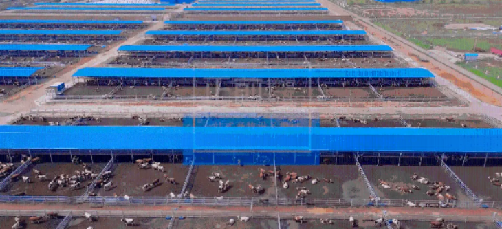 pg电子游戏试玩(模拟器)官方网站 -手机版app下载