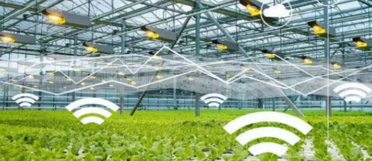 pg电子游戏试玩(模拟器)官方网站 -手机版app下载