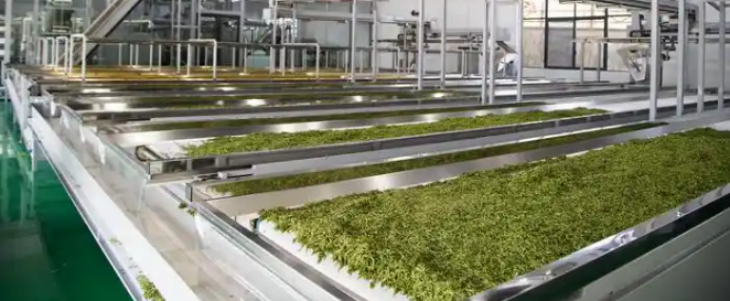 pg电子游戏试玩(模拟器)官方网站 -手机版app下载