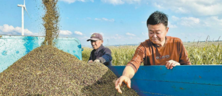 pg电子游戏试玩(模拟器)官方网站 -手机版app下载