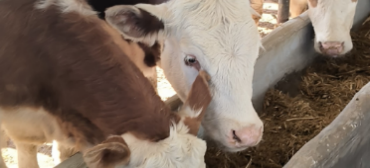 pg电子游戏试玩(模拟器)官方网站 -手机版app下载