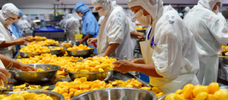 pg电子游戏试玩(模拟器)官方网站 -手机版app下载