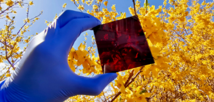 pg电子游戏试玩(模拟器)官方网站 -手机版app下载