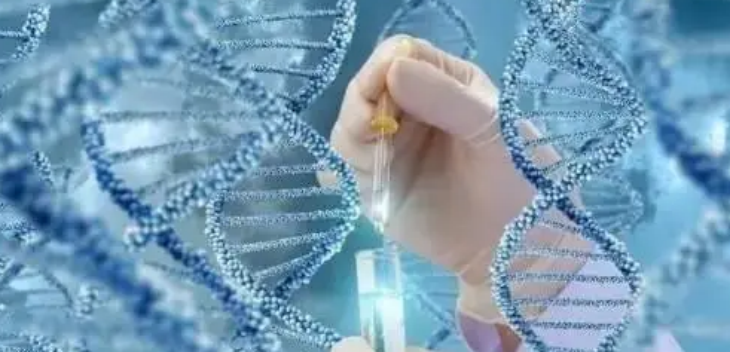 pg电子游戏试玩(模拟器)官方网站 -手机版app下载