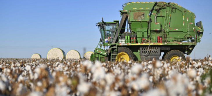 pg电子游戏试玩(模拟器)官方网站 -手机版app下载