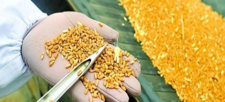 pg电子游戏试玩(模拟器)官方网站 -手机版app下载