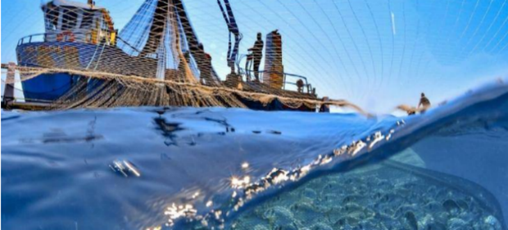 pg电子游戏试玩(模拟器)官方网站 -手机版app下载