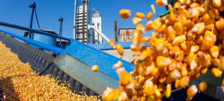 pg电子游戏试玩(模拟器)官方网站 -手机版app下载