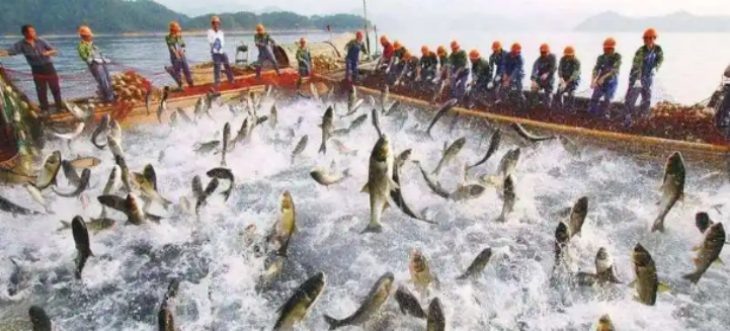 pg电子游戏试玩(模拟器)官方网站 -手机版app下载