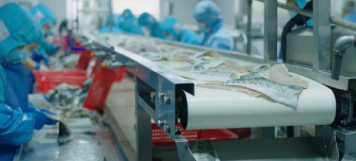 pg电子游戏试玩(模拟器)官方网站 -手机版app下载