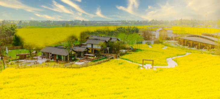 pg电子游戏试玩(模拟器)官方网站 -手机版app下载