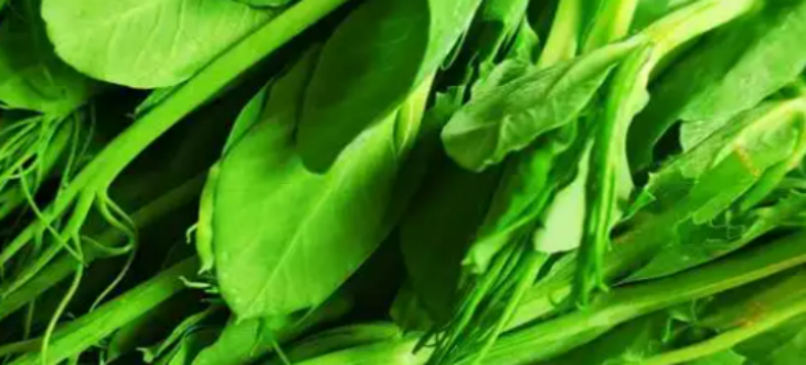 pg电子游戏试玩(模拟器)官方网站 -手机版app下载