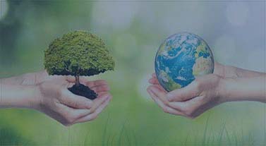 pg电子游戏试玩(模拟器)官方网站 -手机版app下载